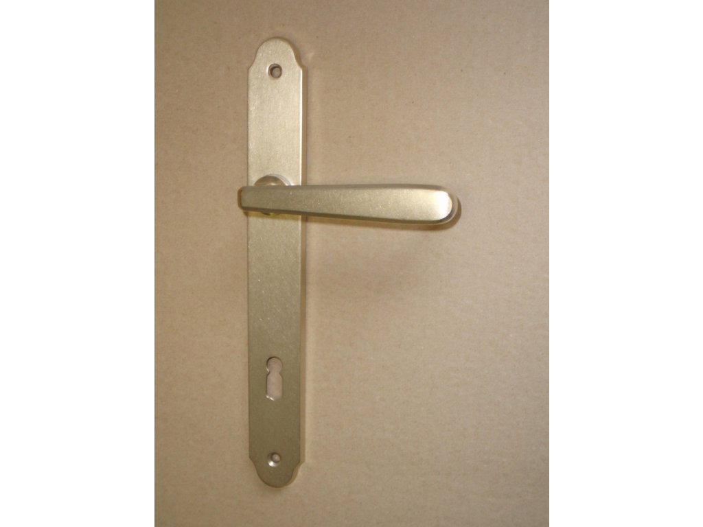 Individual štítové dveřní kování klika/koule starobronz