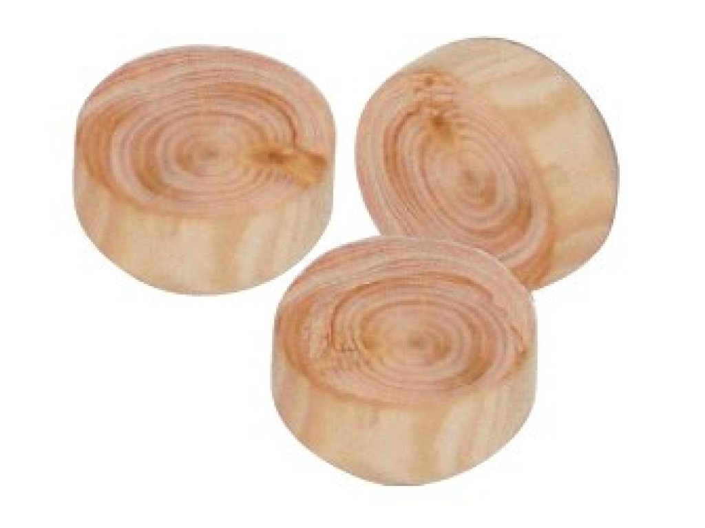 Suky větvové- smrk